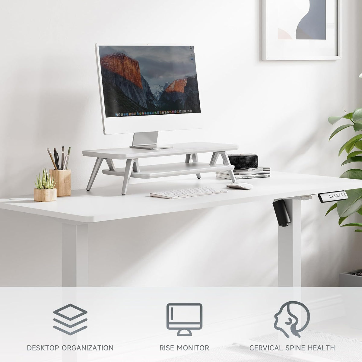 Dual Monitor Stand Riser, Wooden Desk Shelf with 2-Tier Storage