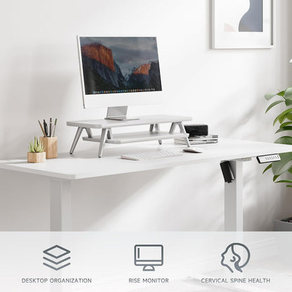 Dual Monitor Stand Riser, Wooden Desk Shelf with 2-Tier Storage
