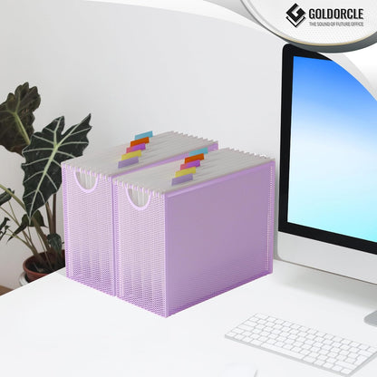 Hanging File Organizer, File Folder Organizer with Handles, Metal Mesh File Crate Storage Box, Letter Size (with 5 Grey Folders)
