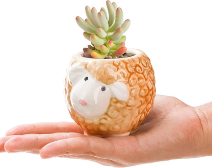 6 Pack Small Succulent Pots with Saucer, 3 Inch Cute Ceramic Animal Planter with Drainage Hole, Unique Air Plant Holder, Desktop Plant Flower Pot for Indoor Plants, Cactus, Garden, Home Decor