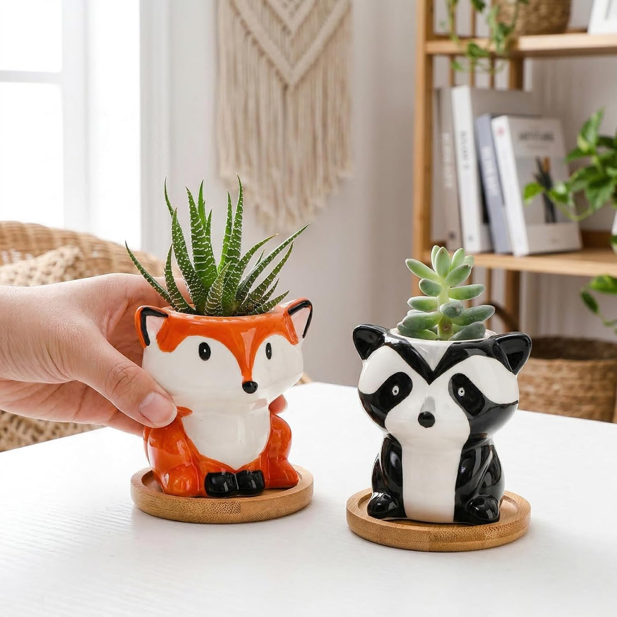 6 Pack Small Succulent Pots with Saucer, 3 Inch Cute Ceramic Animal Planter with Drainage Hole, Unique Air Plant Holder, Desktop Plant Flower Pot for Indoor Plants, Cactus, Garden, Home Decor