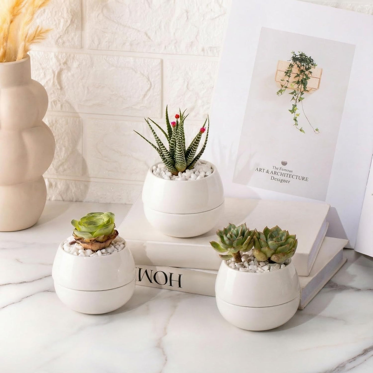 3.5 Inch Small Succulent Pots - 3pk, Mini/Small White Ceramic Succulent Pots - No Plants Included