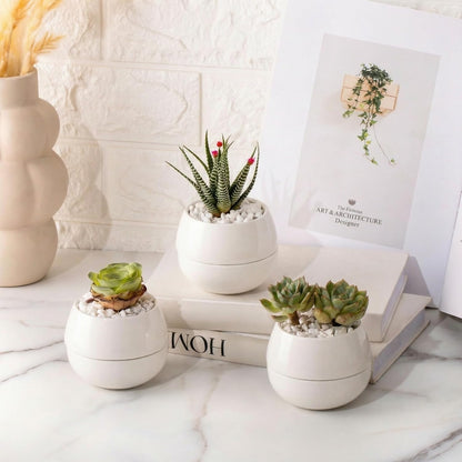 3.5 Inch Small Succulent Pots - 3pk, Mini/Small White Ceramic Succulent Pots - No Plants Included