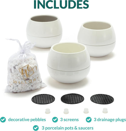 3.5 Inch Small Succulent Pots - 3pk, Mini/Small White Ceramic Succulent Pots - No Plants Included