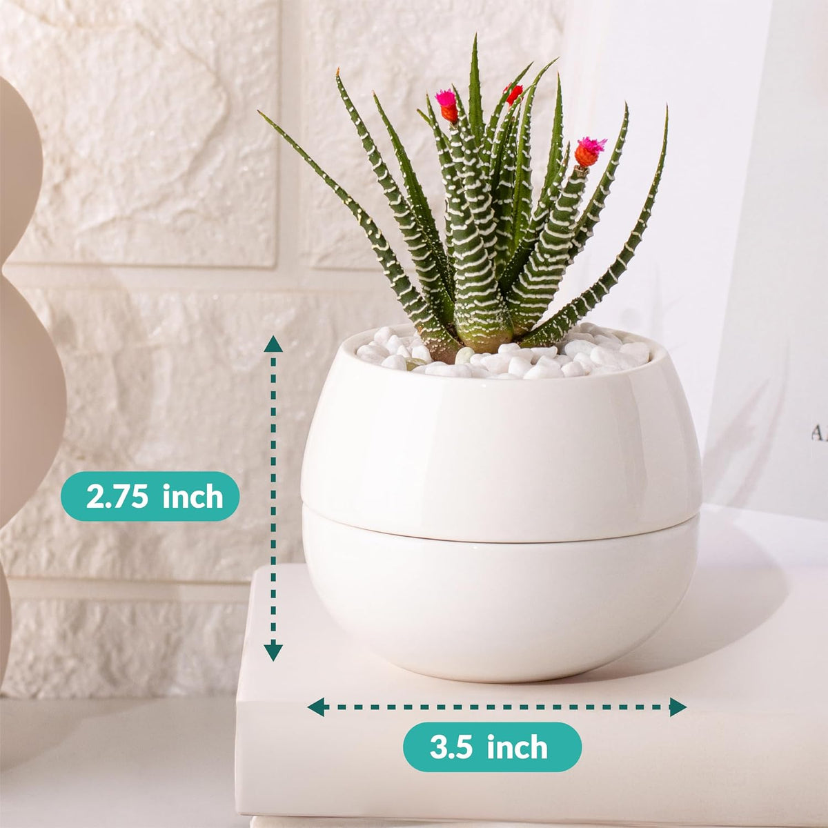 3.5 Inch Small Succulent Pots - 3pk, Mini/Small White Ceramic Succulent Pots - No Plants Included