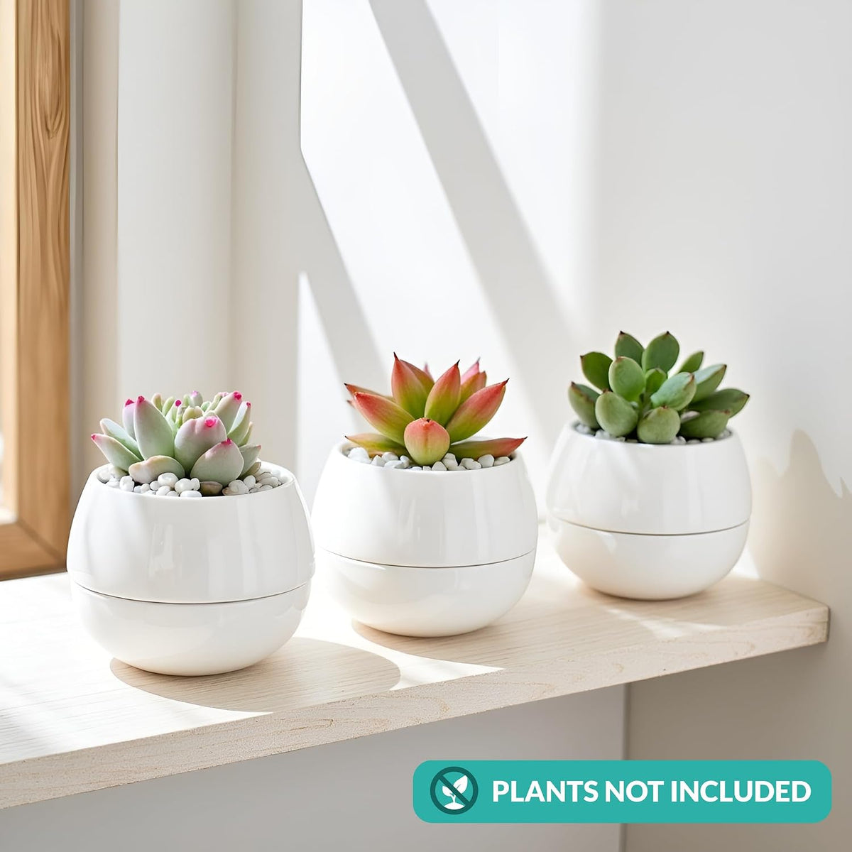 3.5 Inch Small Succulent Pots - 3pk, Mini/Small White Ceramic Succulent Pots - No Plants Included