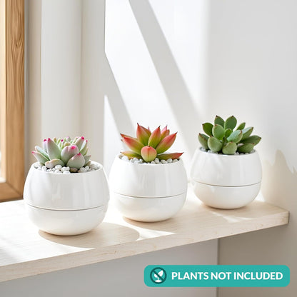 3.5 Inch Small Succulent Pots - 3pk, Mini/Small White Ceramic Succulent Pots - No Plants Included