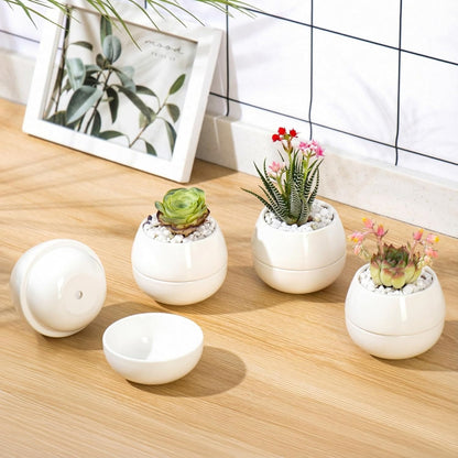 3.5 Inch Small Succulent Pots - 3pk, Mini/Small White Ceramic Succulent Pots - No Plants Included