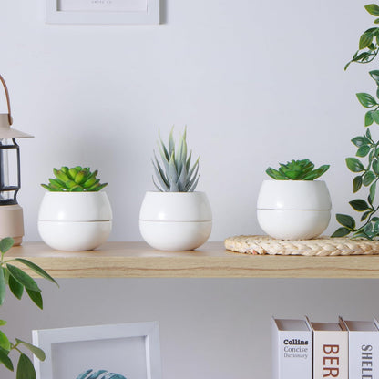 3.5 Inch Small Succulent Pots - 3pk, Mini/Small White Ceramic Succulent Pots - No Plants Included