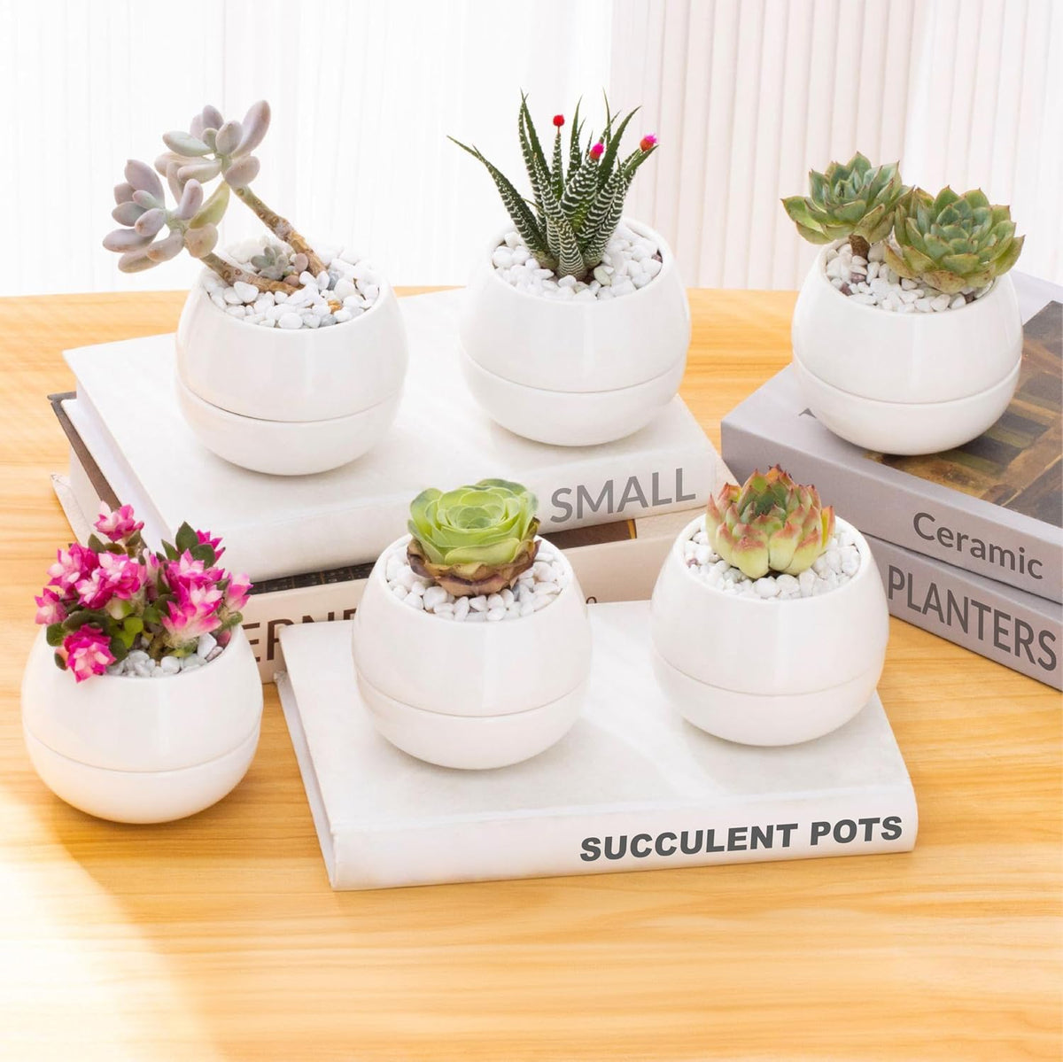 3.5 Inch Small Succulent Pots - 3pk, Mini/Small White Ceramic Succulent Pots - No Plants Included