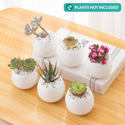 3.5 Inch Small Succulent Pots - 3pk, Mini/Small White Ceramic Succulent Pots - No Plants Included
