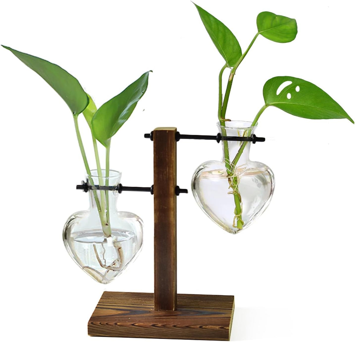 Plant Propagation Station Terrarium Wooden Stand 2 Love Bulb Vase