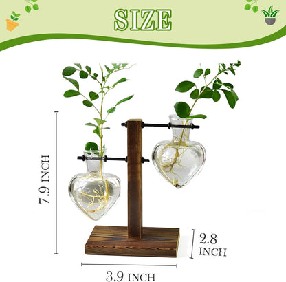 Plant Propagation Station Terrarium Wooden Stand 2 Love Bulb Vase