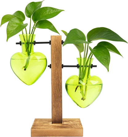 Plant Propagation Station Terrarium Wooden Stand 2 Love Bulb Vase