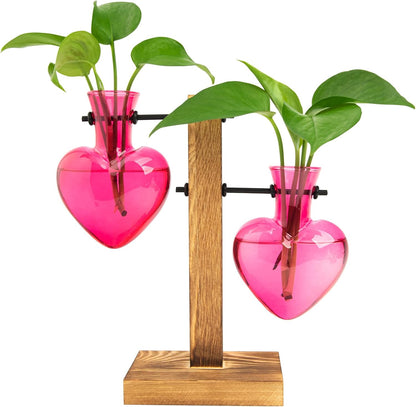 Plant Propagation Station Terrarium Wooden Stand 2 Love Bulb Vase