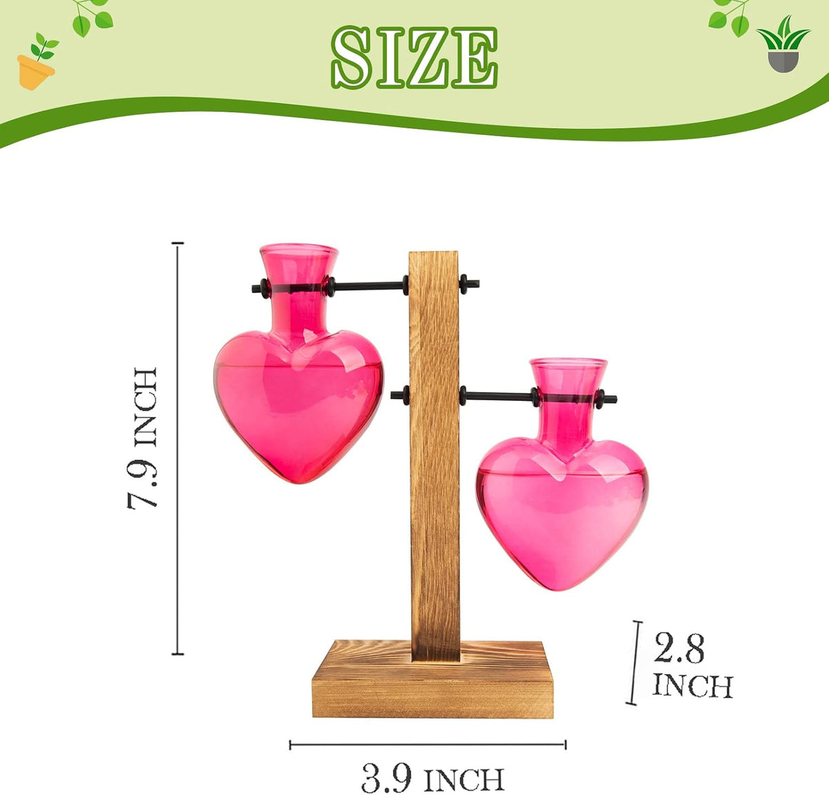 Plant Propagation Station Terrarium Wooden Stand 2 Love Bulb Vase
