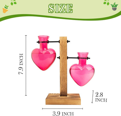Plant Propagation Station Terrarium Wooden Stand 2 Love Bulb Vase