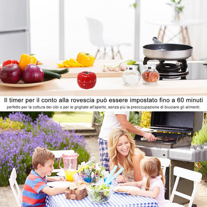 Manual Mechanical Tomato Timer -Ring Alarm Kitchen Timer for Cooking Study Gym Countdown Clock Red