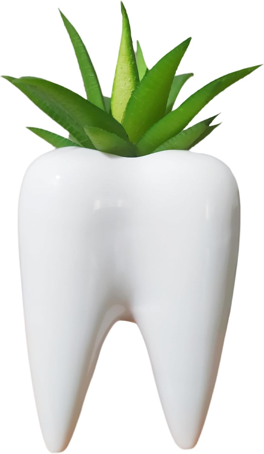 Ceramic Animal Shaped Flower Pot - Unique and Charming Home Decor (Tooth)