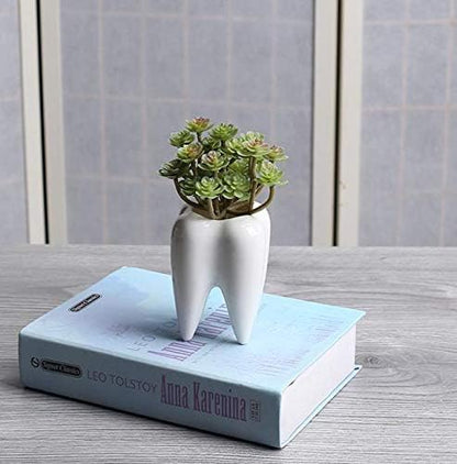 Ceramic Animal Shaped Flower Pot - Unique and Charming Home Decor (Tooth)