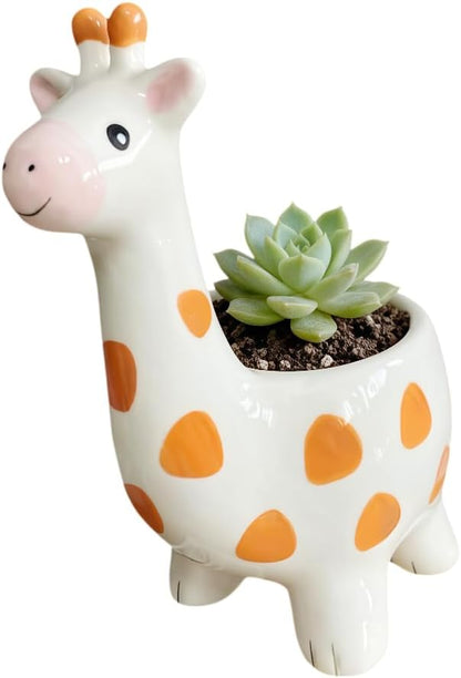 Ceramic Animal Shaped Flower Pot - Unique and Charming Home Decor (Tooth)