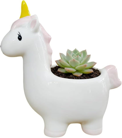 Ceramic Animal Shaped Flower Pot - Unique and Charming Home Decor (Tooth)