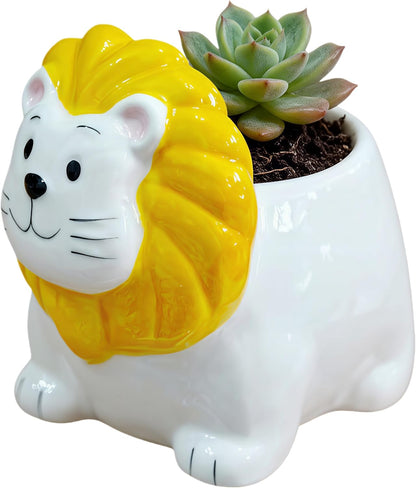 Ceramic Animal Shaped Flower Pot - Unique and Charming Home Decor (Tooth)