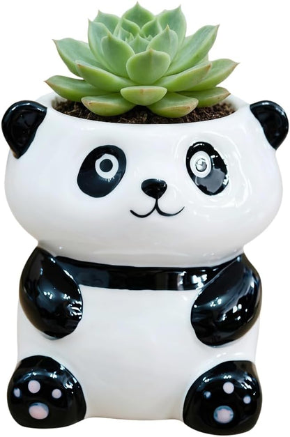 Ceramic Animal Shaped Flower Pot - Unique and Charming Home Decor (Tooth)