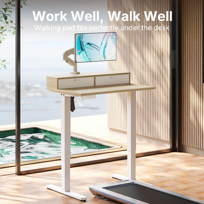 48″ x 24″ Electric Standing Desk with 2 Drawers, C-Clamp Mount Compatible, Height Adjustable Computer Desk, Home Office Stand Up Desk with 4 Preset Heights & 2 Hooks, Black