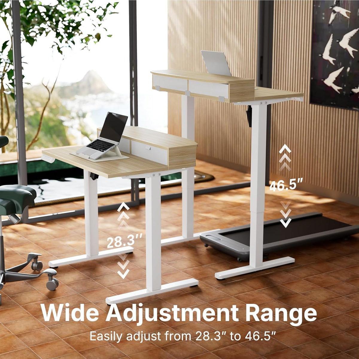 48″ x 24″ Electric Standing Desk with 2 Drawers, C-Clamp Mount Compatible, Height Adjustable Computer Desk, Home Office Stand Up Desk with 4 Preset Heights & 2 Hooks, Black