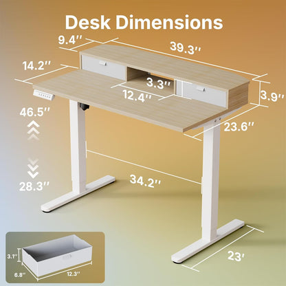 48″ x 24″ Electric Standing Desk with 2 Drawers, C-Clamp Mount Compatible, Height Adjustable Computer Desk, Home Office Stand Up Desk with 4 Preset Heights & 2 Hooks, Black