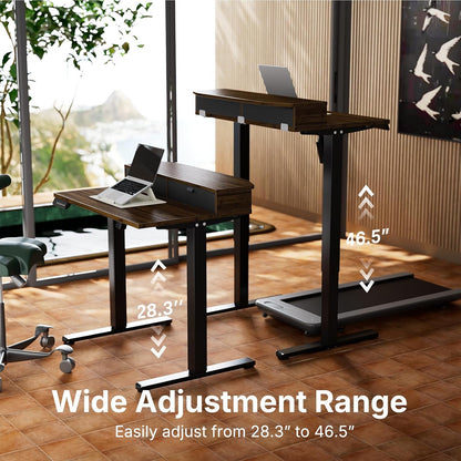48″ x 24″ Electric Standing Desk with 2 Drawers, C-Clamp Mount Compatible, Height Adjustable Computer Desk, Home Office Stand Up Desk with 4 Preset Heights & 2 Hooks, Black