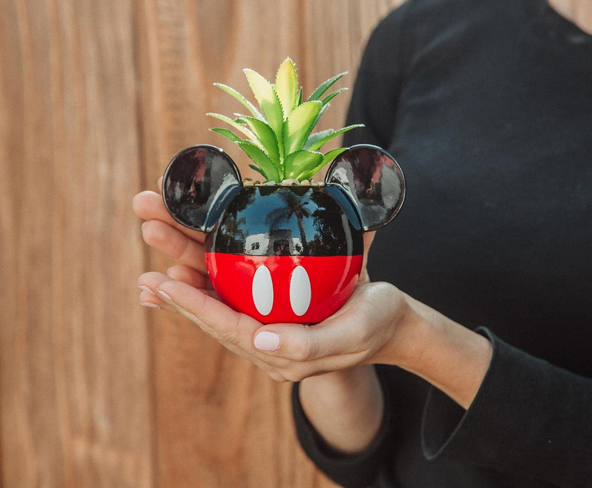 Disney Pixar WALL-E 4-Inch Ceramic Mini Planter with Artificial Succulent | Cute Small Flower Pot, Faux Indoor Plant for Desk Shelf