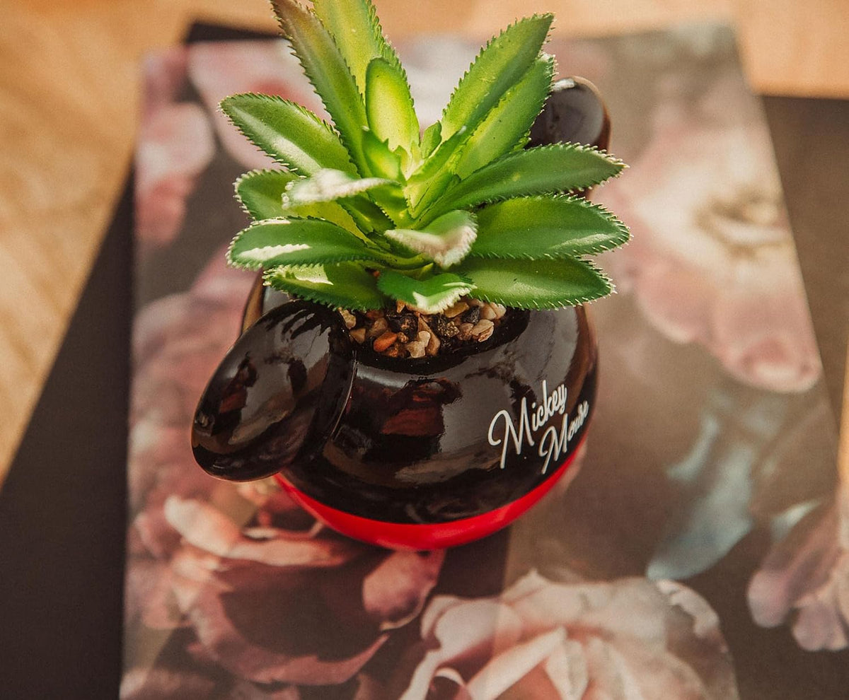 Disney Pixar WALL-E 4-Inch Ceramic Mini Planter with Artificial Succulent | Cute Small Flower Pot, Faux Indoor Plant for Desk Shelf
