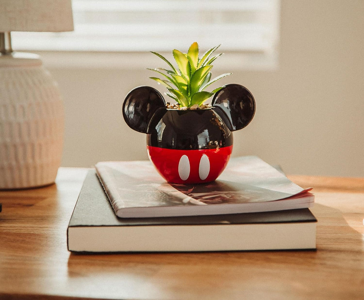 Disney Pixar WALL-E 4-Inch Ceramic Mini Planter with Artificial Succulent | Cute Small Flower Pot, Faux Indoor Plant for Desk Shelf