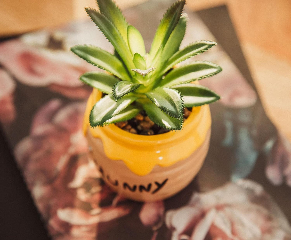 Disney Pixar WALL-E 4-Inch Ceramic Mini Planter with Artificial Succulent | Cute Small Flower Pot, Faux Indoor Plant for Desk Shelf