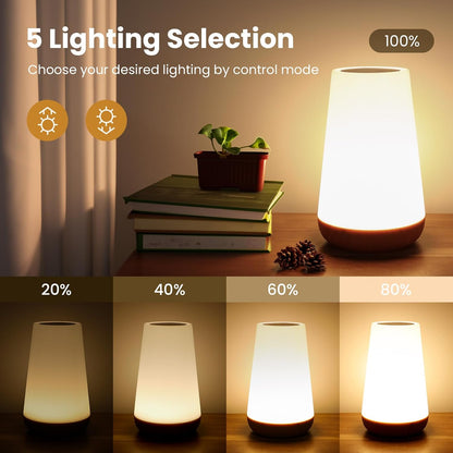 Telecontrol Night Light Touch Lamp: 13 Colors, 5 Brightness, Brown