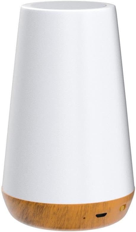 Telecontrol Night Light Touch Lamp: 13 Colors, 5 Brightness, Brown