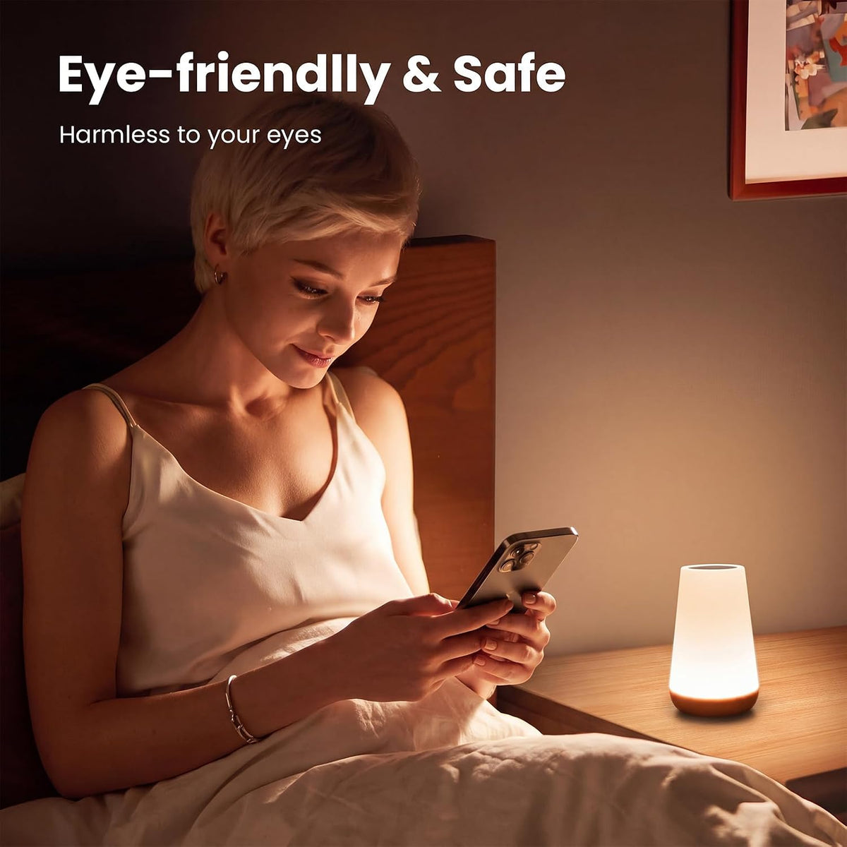 Telecontrol Night Light Touch Lamp: 13 Colors, 5 Brightness, Brown