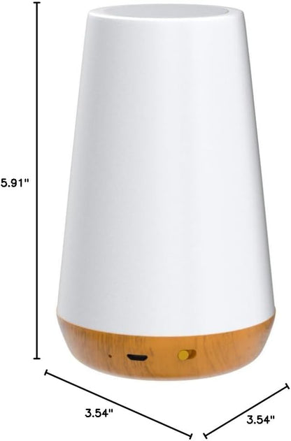 Telecontrol Night Light Touch Lamp: 13 Colors, 5 Brightness, Brown