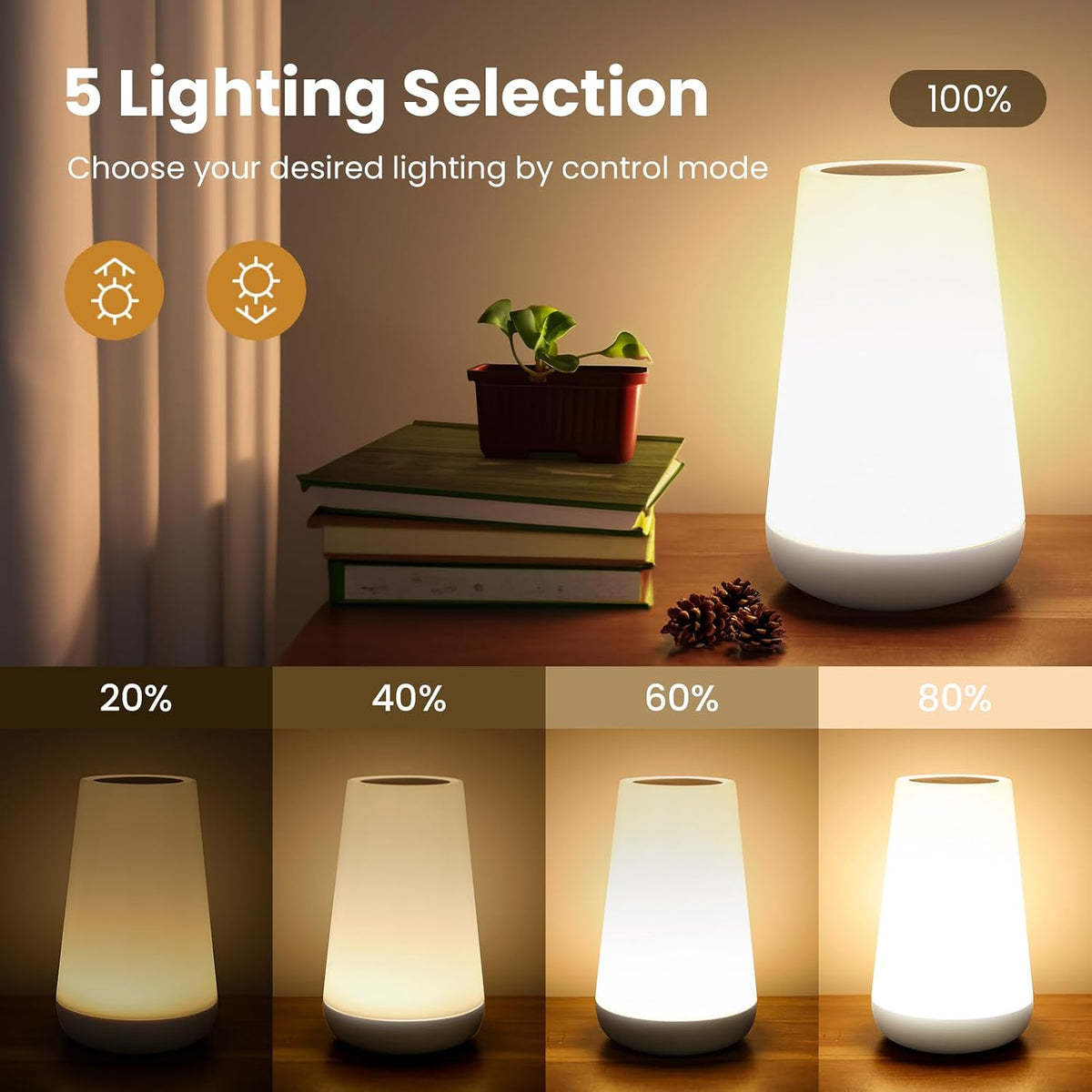 Telecontrol Night Light Touch Lamp: 13 Colors, 5 Brightness, Brown