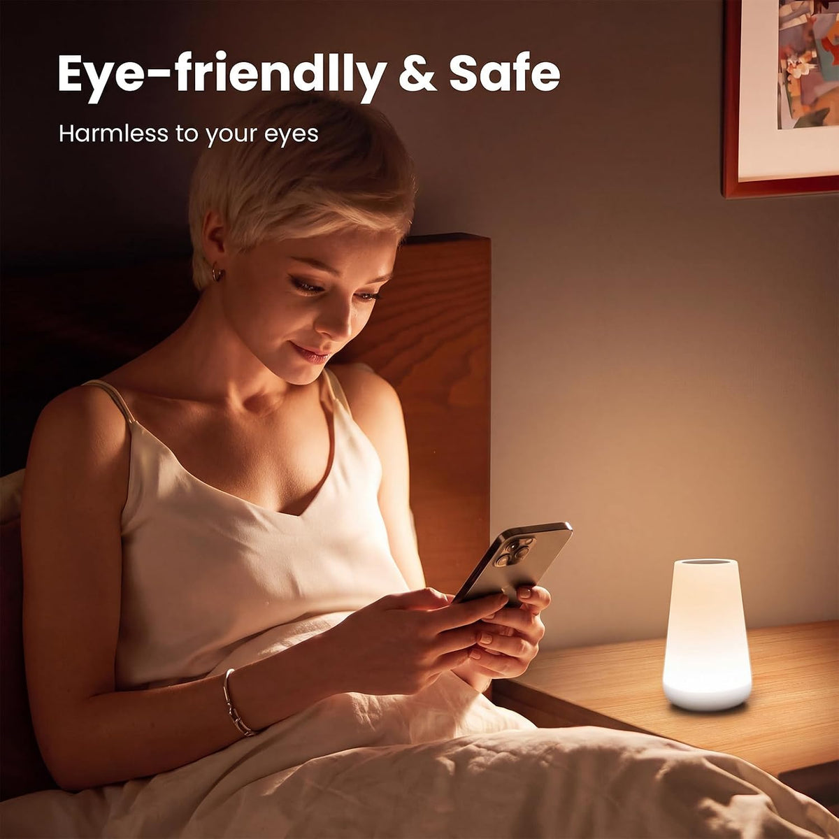 Telecontrol Night Light Touch Lamp: 13 Colors, 5 Brightness, Brown