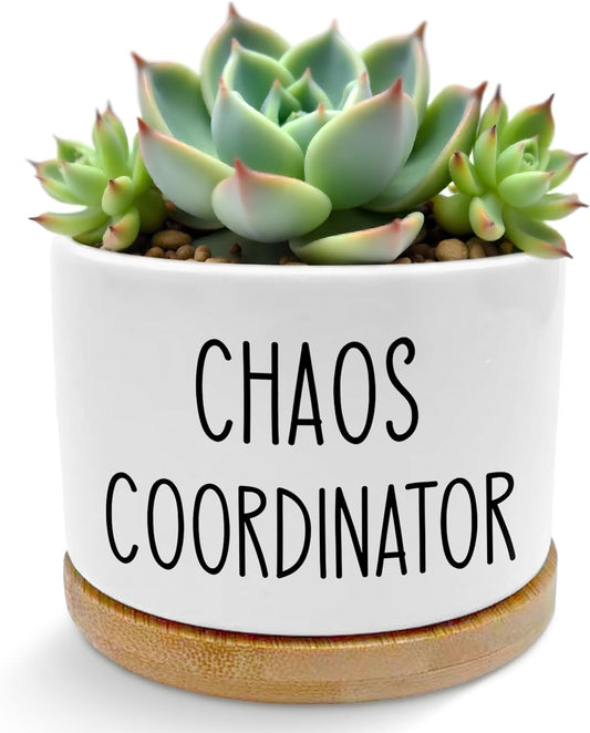 Chaos Coordinator Gifts Plant Pots Succulent Planters
