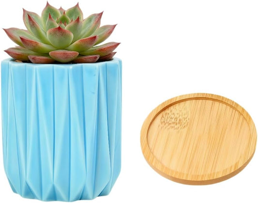 Cuteforyou Modern Textured Ceramic Succulent Planter Pot – 6 Color Options (No Plant Included) – Perfect for Small Plants, Cacti & Desk Decor – Lightweight & Durable (Green, 3.5'' Tall)