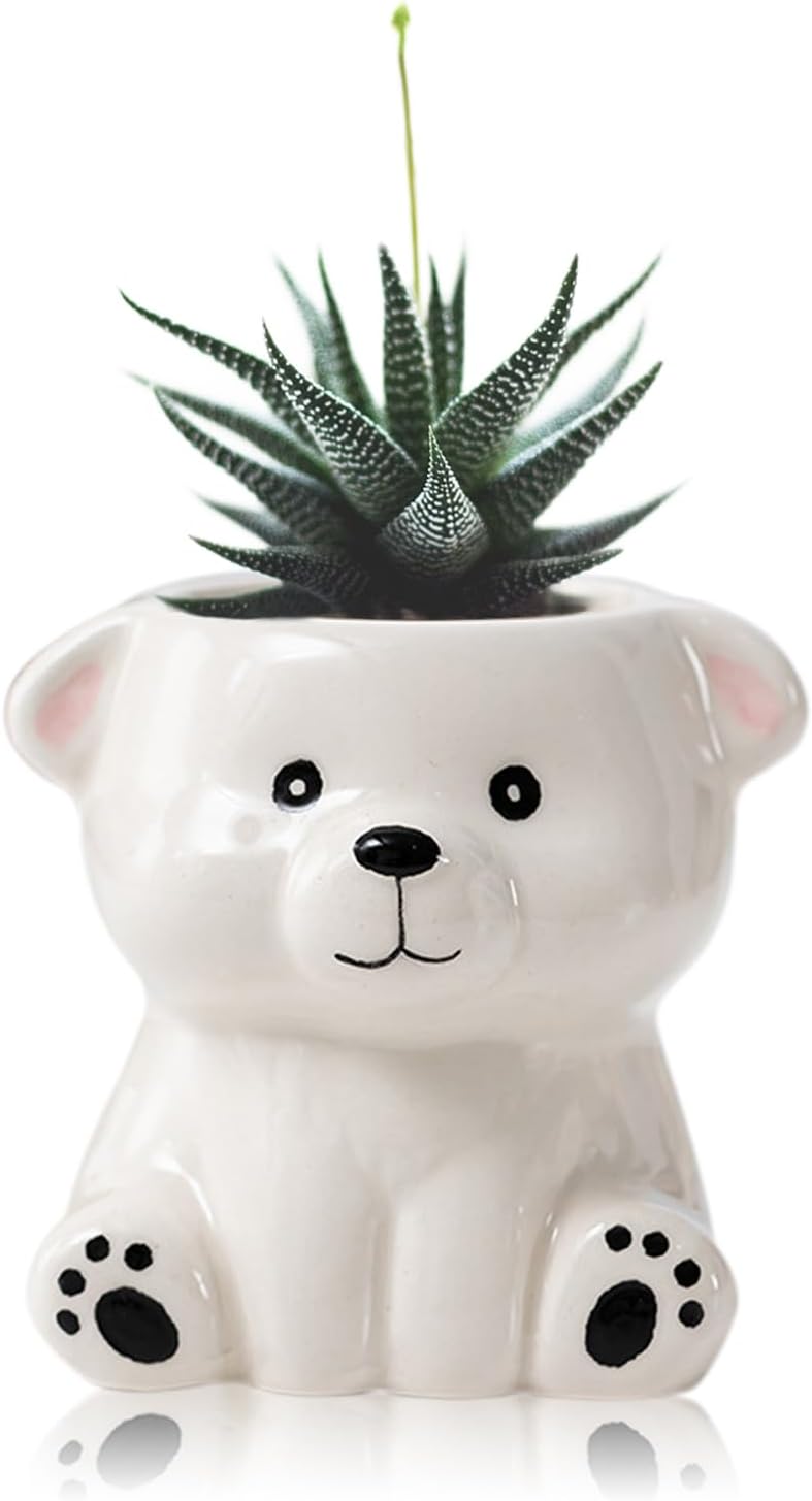 DIYOMR Cute Animals Planter, Mini Ceramic Cartoon Animal Shaped Succulent Flower Pot Indoor Air Plants Holder, Smooth Shiny Decorative Flower Cactus Planter - Plants Not Included (Panda)