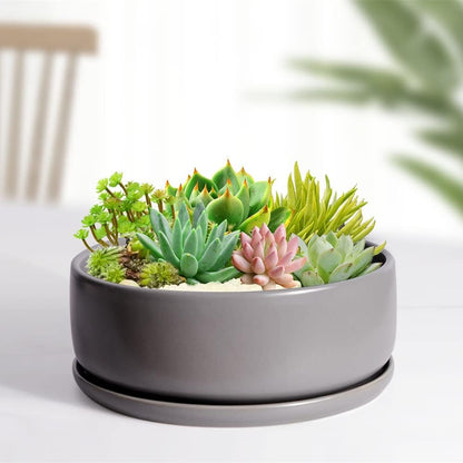 SQOWL 8 inch White Round Ceramic Succulent Planter Pot Modern Flower Cactus herb Big Planter with Removable Saucer Indoor or Outdoor