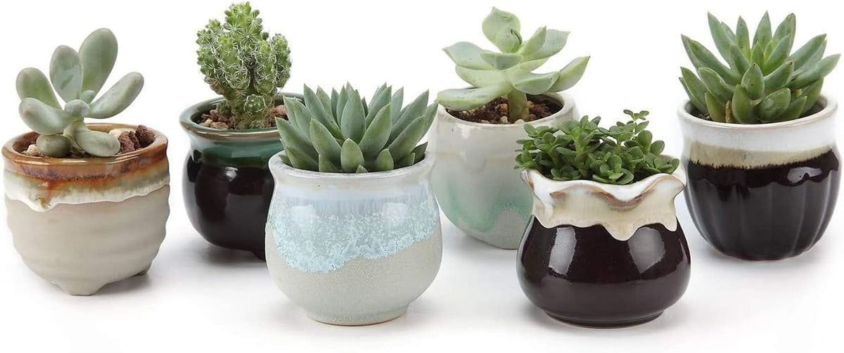 Mini Ceramic Succulent Pots, Small Gift Planters, Retro Decor Set of 6