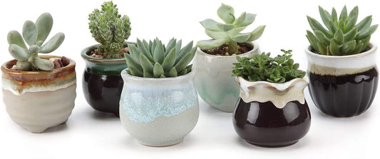 Mini Ceramic Succulent Pots, Small Gift Planters, Retro Decor Set of 6