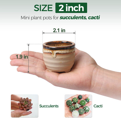 Mini Ceramic Succulent Pots, Small Gift Planters, Retro Decor Set of 6