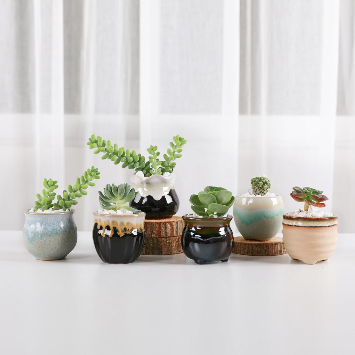 Mini Ceramic Succulent Pots, Small Gift Planters, Retro Decor Set of 6